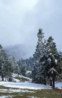 武隆仙女山