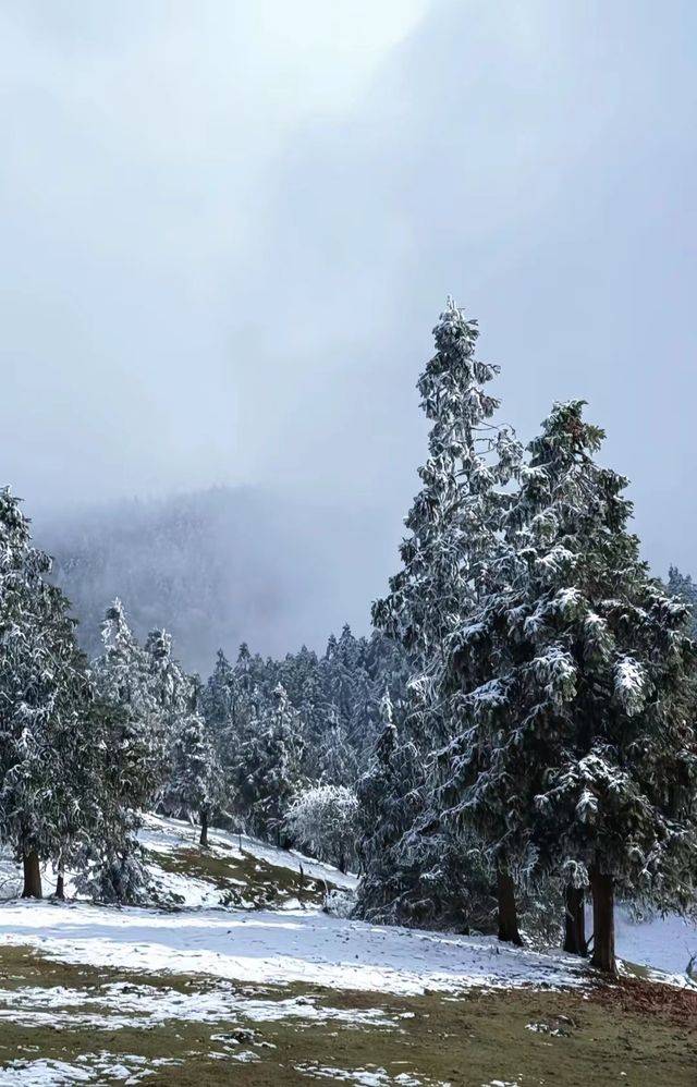 武隆仙女山