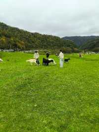 來漢中必玩的幾個景點，石門棧道，天漢濕地公園，青木川古鎮，獅子溝牧場，四天五夜兩人出行，（預算在6千