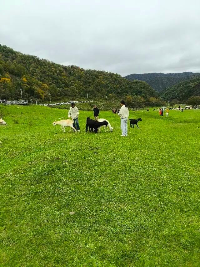 來漢中必玩的幾個景點，石門棧道，天漢濕地公園，青木川古鎮，獅子溝牧場，四天五夜兩人出行，（預算在6千