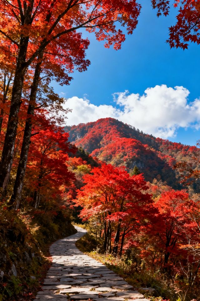 川北秘境南江,邂逅紅葉與千年古道的奇幻之旅!  山水不全看,不算到四川,這片被《中國國家地理》評為“ 川北秘境南江,邂逅紅葉與千年古道的奇幻之旅!  山水不全看,不算到四川,這片被《中國國家地理》評為“
