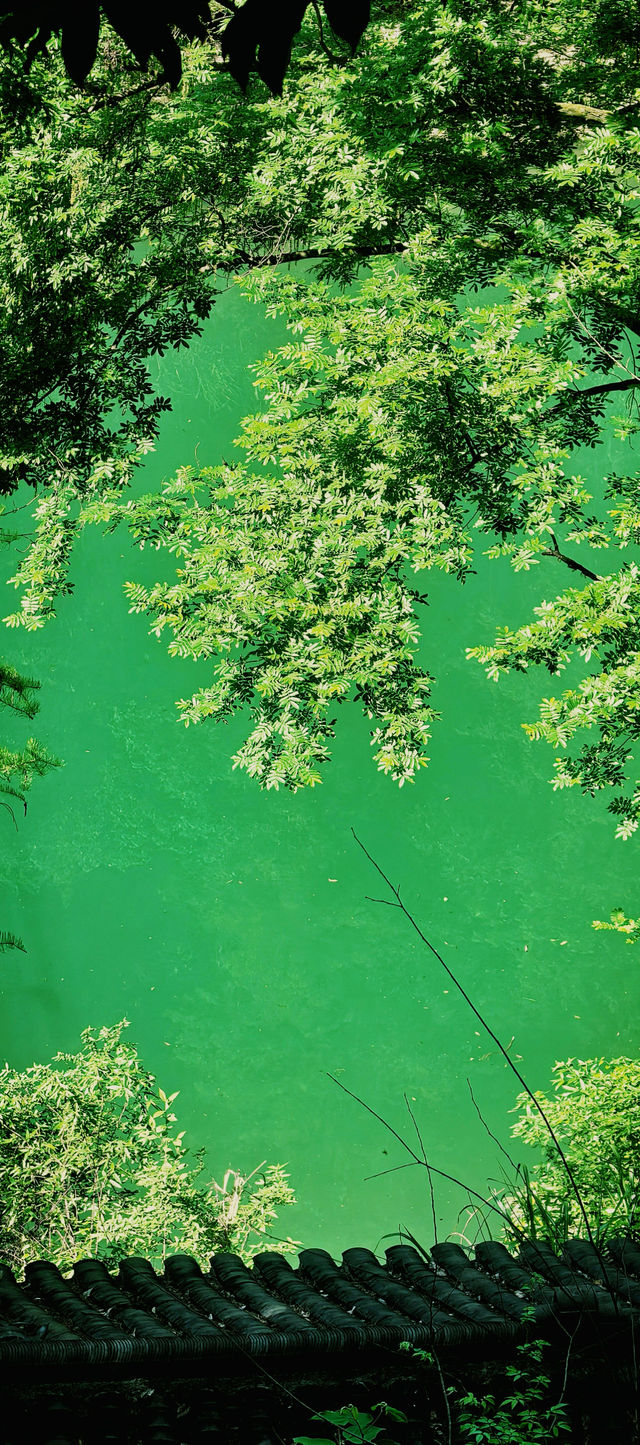 湘西人的私藏秘境這個「小九寨溝」也太絕了吧! 湘西人的私藏秘境這個「小九寨溝」也太絕了吧!