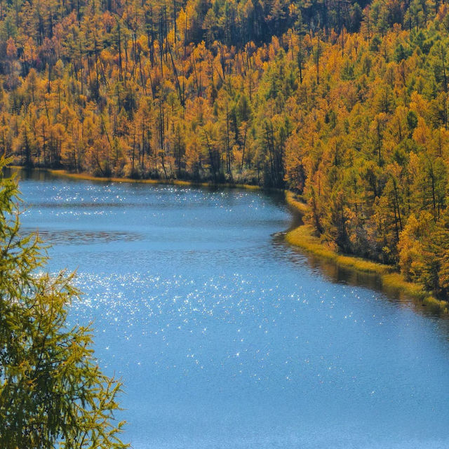 🇨🇳아얼샨, 자연의 아름다움과 불편한 현실 사이 🏔️ 🇨🇳아얼샨, 자연의 아름다움과 불편한 현실 사이 🏔️