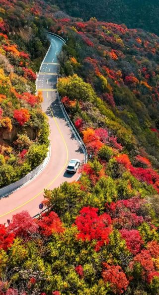 สถานที่ถ่ายภาพที่ต้องมาเช็คอิน——อุทยานหลงซาน