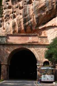 在龜峰花間嶺度過的花樣年華