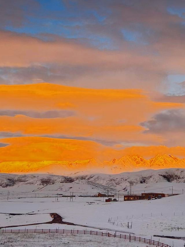 雪山之下，彩林環繞，這裡的秋天美到讓人忘詞！