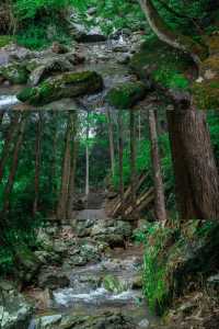 迄今去過最鬆弛的江浙滬小城，奈何不火