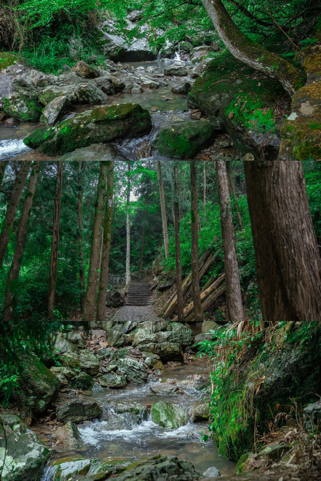 迄今去過最鬆弛的江浙滬小城，奈何不火