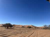 秋天納米比亞等多國連遊超全攻略