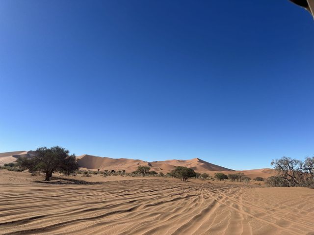 秋天納米比亞等多國連遊超全攻略 秋天納米比亞等多國連遊超全攻略