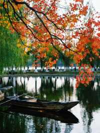 南京莫愁湖已美成油畫了