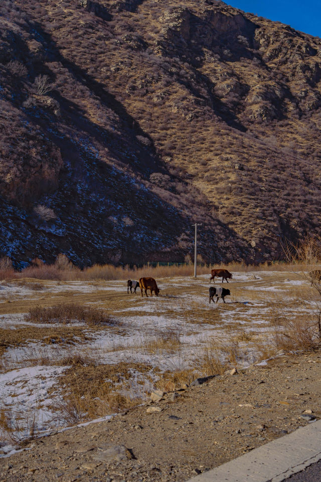 呼市小眾雪景｜紅石崖美到心巴上