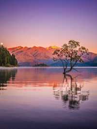 12-2月限定！紐西蘭南島小團享多種體驗