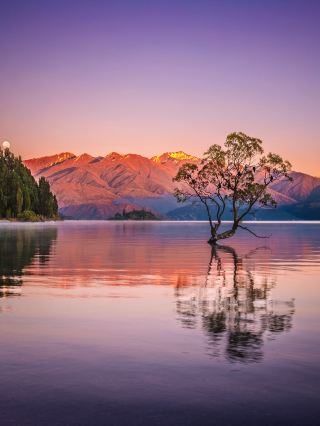 Limited from December to February! Small Group Tour in New Zealand's South Island with Multiple Experiences