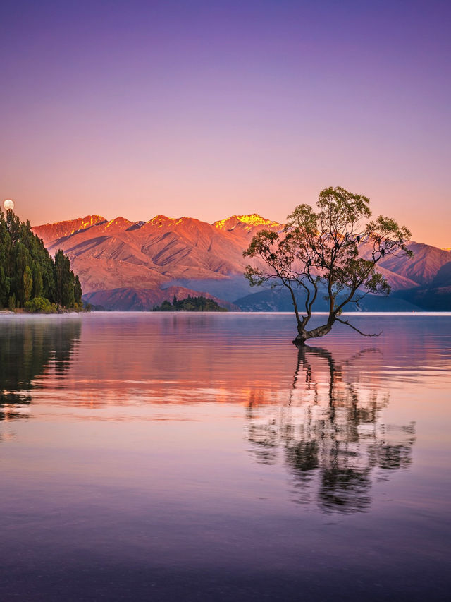 12-2月限定！紐西蘭南島小團享多種體驗