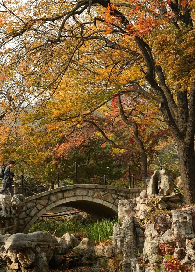 百花苑尋秋意