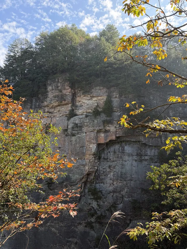 [11.05]跌宕起伏的張家界森林公園·攻略參考