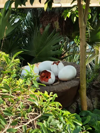 톈진 아이와 가기 좋은 보물 같은 곳 | 공룡 출몰 + 파충류 전시회, 가자!