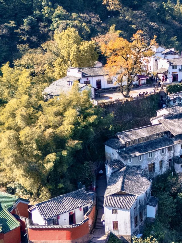 以為黃山夠美了,直到我去了隔壁這裡...... 以為黃山夠美了,直到我去了隔壁這裡......