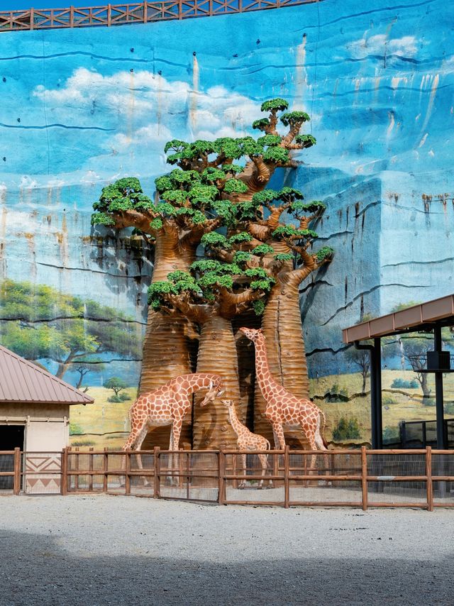 本地人親測,這裡就是泉州遛娃天花板 本地人親測,這裡就是泉州遛娃天花板