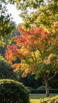 深秋暴走上海｜我在魔都最靜的30天找到人間煙火