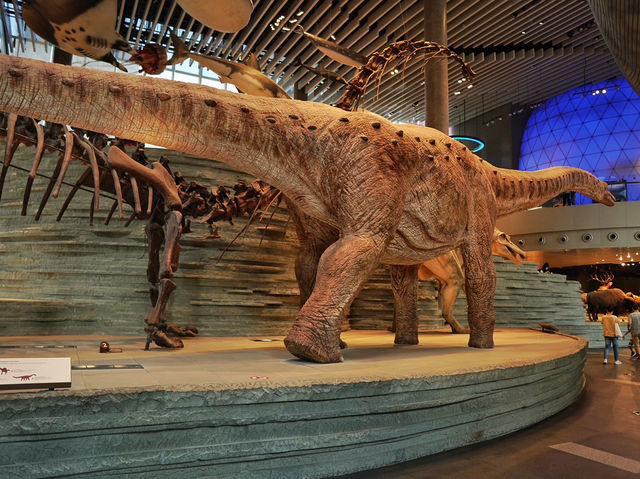 Самый красивый Шанхайский музей природы 🦖🇨🇳