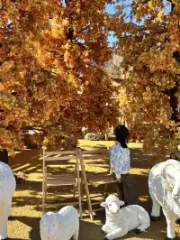 寶泉輕鬆遛娃一日攻略休閒不累