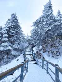 冬日昆明必打卡