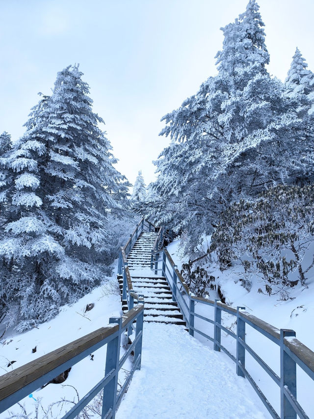 冬日昆明必打卡 冬日昆明必打卡