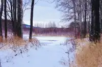 私人小眾滑雪，大興安嶺滑雪才是隱藏頂配！