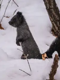 再吃，再吃就把你拍下來，放到網上去！