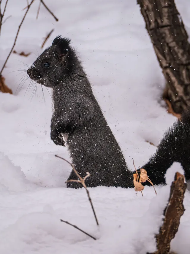 再吃，再吃就把你拍下來，放到網上去！