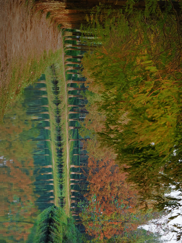 成都市區免費公園 | 升仙湖Citywalk