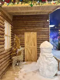 不用去北歐！惠州就能撸真企鵝+冰雪滑梯！