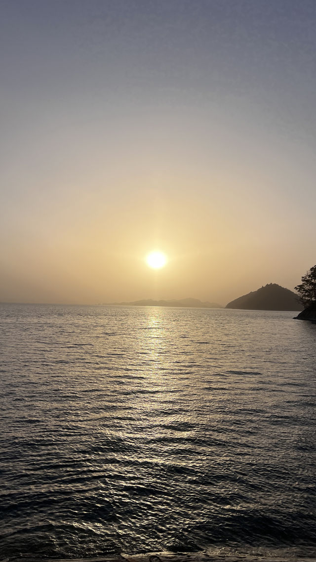千島湖的藍綠美學 周末逃離城市計劃get!這裡的湖水清澈見底,連呼吸都是甜的~ - 必打卡景點 千島湖的藍綠美學 周末逃離城市計劃get!這裡的湖水清澈見底,連呼吸都是甜的~ - 必打卡景點
