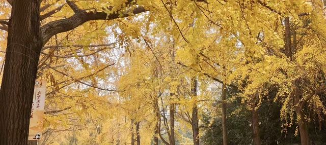 陽朔3天2晚遊|這家民宿讓我想長住不走了! 陽朔3天2晚遊|這家民宿讓我想長住不走了!