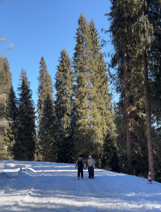 庫爾德寧自駕全攻略 庫爾德寧自駕全攻略