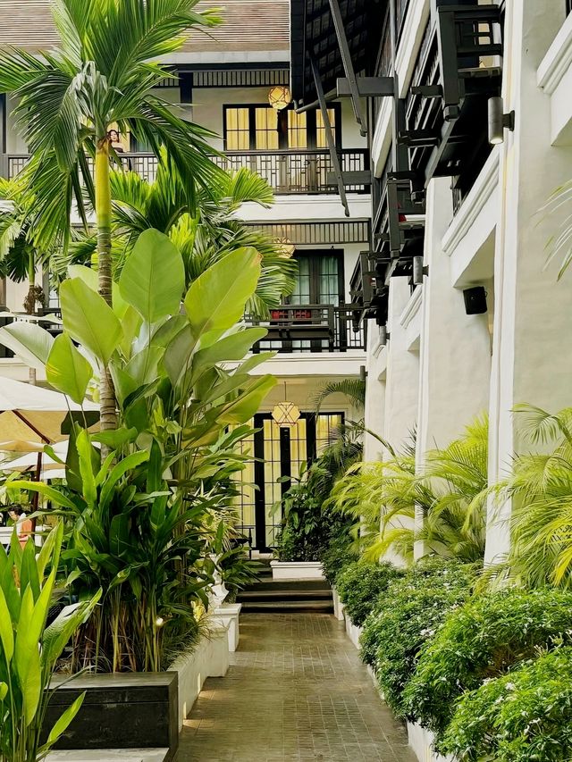 住進隱藏版清邁秘密花園！泡森林溫泉太治癒了