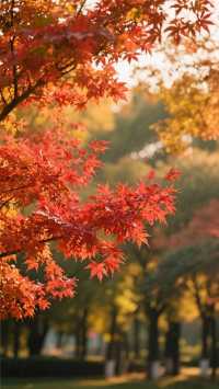 這裡的風景如詩如畫!