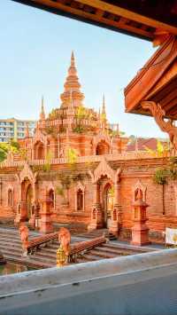 “在西雙版納追逐永不落幕的夏天和日落”