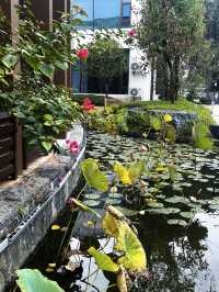 泊心雲舍·七夕島｜住進仙女湖的浪漫童話裡