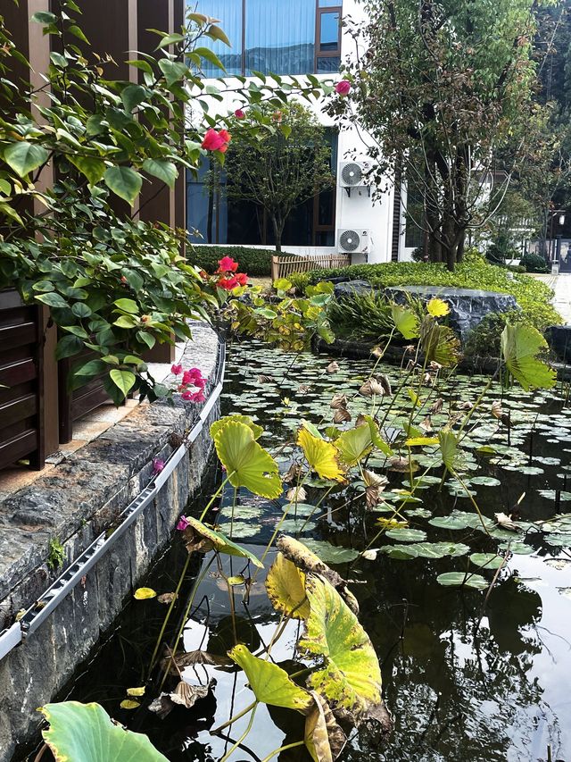 泊心雲舍·七夕島｜住進仙女湖的浪漫童話裡