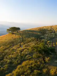 不是非洲這是雲南人自己的薩王納草原~