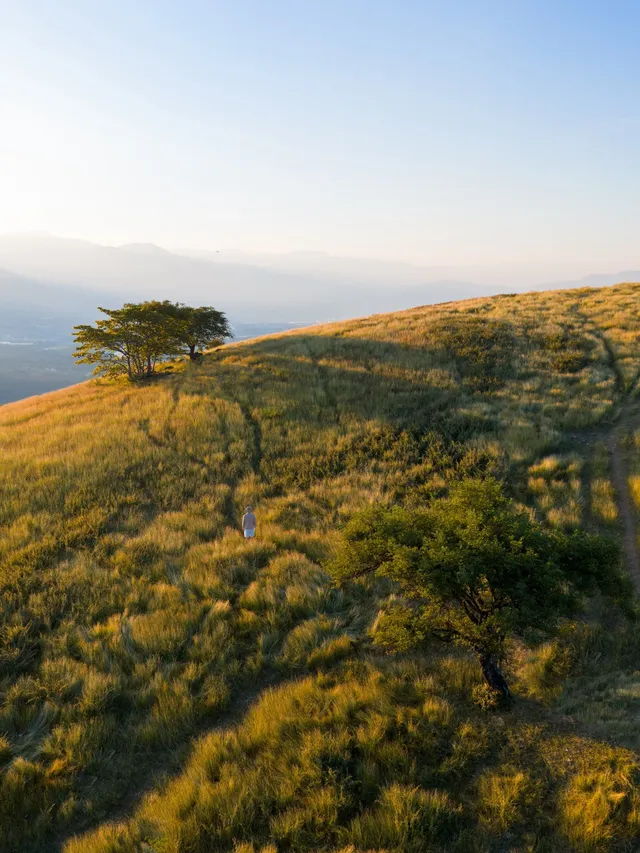 不是非洲這是雲南人自己的薩王納草原~