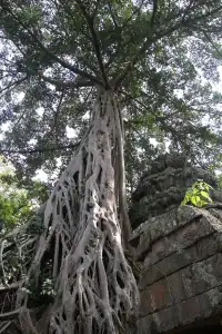 慢行吳哥 深入柬埔寨