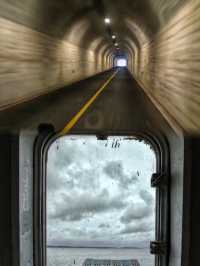 被《國家地理》藏了億年！寧波這座火山島太野了