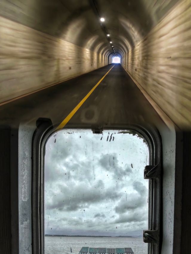 被《國家地理》藏了億年！寧波這座火山島太野了