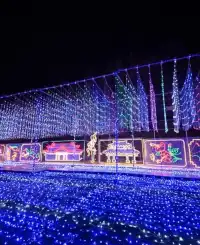 12月來沖繩過聖誕！