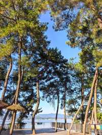 千島湖不登島不進景區直接酒店躺平…