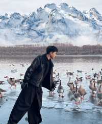 瀋陽鳥島遊玩攻略  景點概況  瀋陽鳥島是渾河水系中的天然島嶼，佔地面積49.26公頃，東北亞候鳥遷